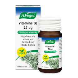 Vitamine D3 25ug 100tb