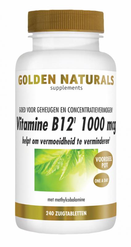 Vitamine B12 1000mcg vegan 240zt