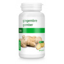Gember /gingembre vegan bio 120vc