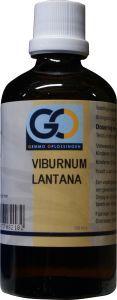 Viburnum lantana bio 100ml