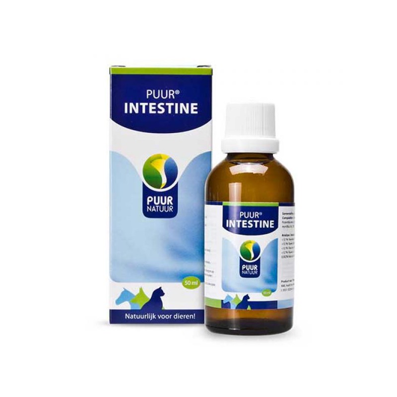 Intestine / Darm 50ml