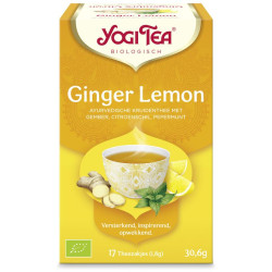Ginger lemon munt bio 17st