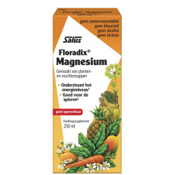 Floradix magnesium 250ml
